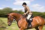 Wanborough Horse and Dog show